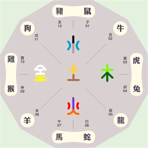 陰金|十二地支酉金詳解